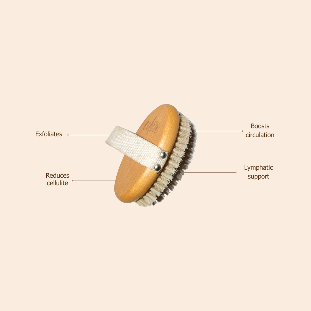 ed&i Dry Body Brush